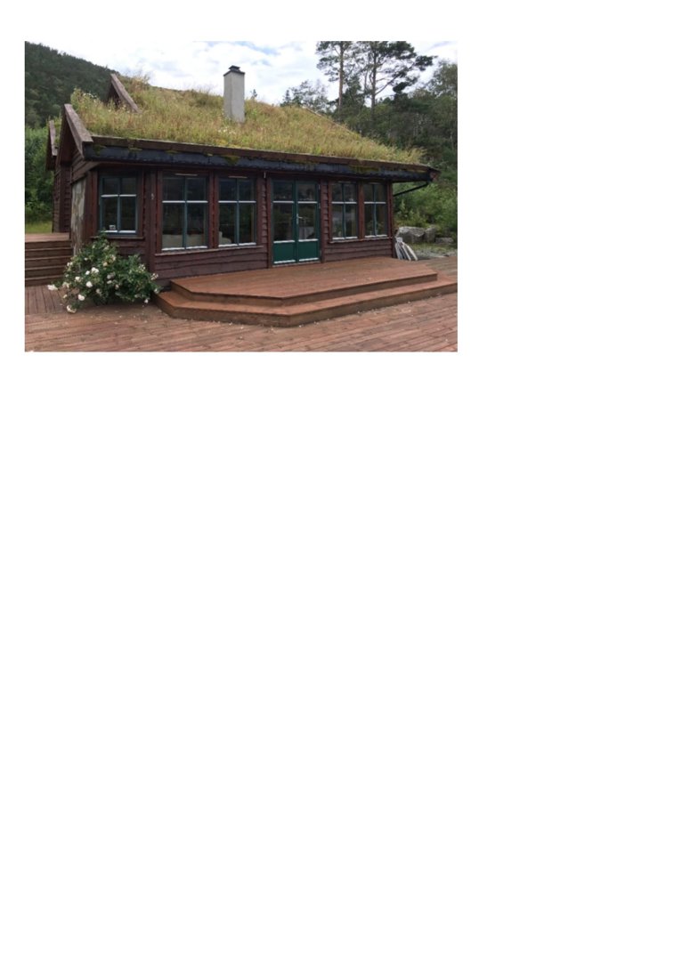 Fotografi av en hytte med grønt tak sett fra siden.