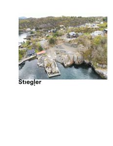 Fotografi av et kystnært område med hus, brygge og klipper.