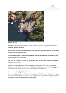 Et skråfoto (luftfoto) av en kystlinje med hus, båter og vegetasjon.