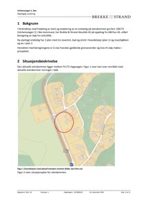 Oversiktskart over eiendommen og nabolag med bygningsplassering