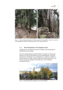 Fotografier av et skogområde (Figur 1-2) og en utsikt over et område med hus (Figur 1-3), inkludert tekster om naturlegeplassen.