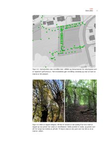 To foton av en allé med trær, inkludert et kartutsnitt over området.