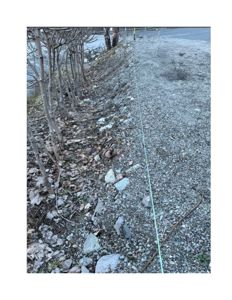 Fotografi av et utendørs område med grus, små trær og en markert linje (sannsynligvis en grenselinje eller byggegrense) på bakken.