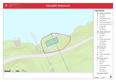 Situasjonsplan som viser tomtens beliggenhet i forhold til nabolag, topografi (konturlinjer) og vannveier.