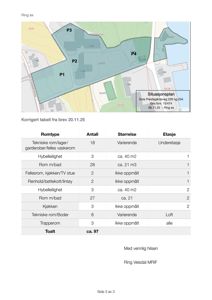 Bildet viser en situasjonsplan med tomtegrenser og en tabell med romfordeling.