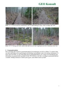 To fotografier fra en grunnundersøkelse som viser terrengforhold, vegetasjon og en sti på eiendom.