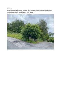 Fotografi av nordligste hjørnet av eiendom med støykskjerm og vegetasjon.