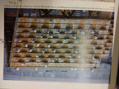 Fotografi av et krykkjehotellet bak Mack Øst med fugler på taket. Bildet inneholder håndskrevne mål og en tekstbeskrivelse.