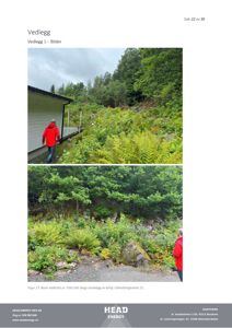 Fotografier av nordveggen på en bolig i Glendrangeveien 21, inkludert vegetasjon og en person som går på en terrasse.