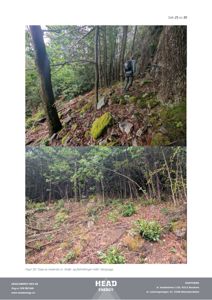 Fotografier av et bergvegg-område med vegetasjon og steiner, som viser resultater fra feltmålinger.