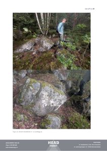 Fotografier av en antatt skredblokk nr. 11 i en skog.