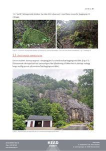 Fotografier av eksisterende sikringstiltak (mosegrodde blokker og steinvegg) i bergvegg øst for eiendom/kartleggingsområdet.