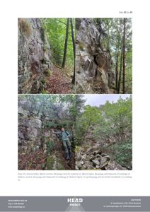 Fotografier av bergvegg og skredblokk i et skogområde