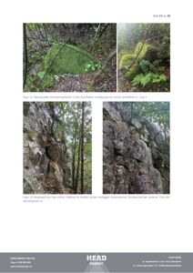 Fotografier av steinblokker og bergvegg i skog, som er dokumentasjon for en byggesak.