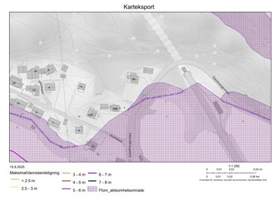 Kart over et område med topografi, bygninger, veier og oversvømmelsesområder (karteksport).