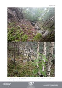 Fotografier av et skredområde i skog, med tekstbeskrivelse under.