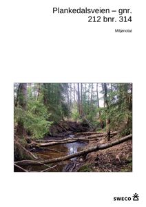 Et fotografi av en skogstrøkk med en liten bekke. Bildet er inkludert i et dokument som ser ut til å være et miljønotat for eiendommen Plankedalsveien.