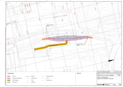 Situasjonsplan som viser tomtens grenser, eksisterende og nye gater, samt topografi (konturlinjer) for en planlagt skolebygning.