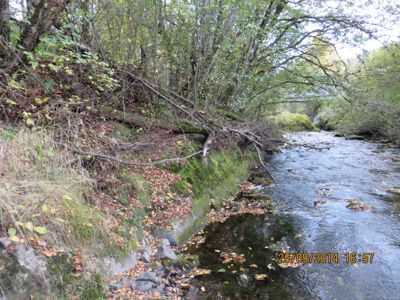 Fotografi av en elv eller bekke i et skogsmil.