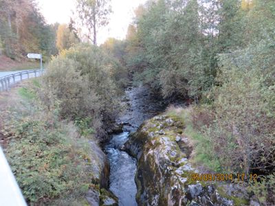 Fotografi av en bekke eller elv i et skogsmil.