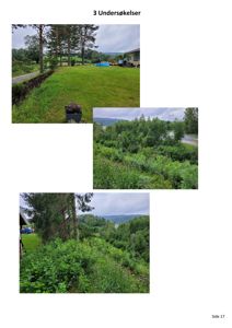 En samling av tre fotografier som viser utsikt over en grønn tomt med skog og fjell i bakgrunnen.