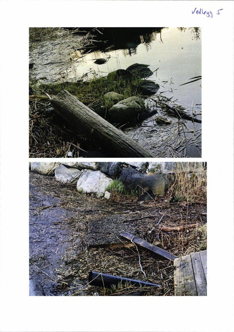 Fotografier av et område med vann, vegetasjon og en logg.