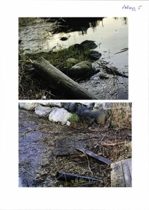 Fotografier av et område med vann, vegetasjon og en logg.