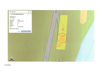 Situasjonsplan som viser tomtens terrengform (konturlinjer), eksisterende veg, og plassering av nye bygninger (gule felter) i forhold til omgivelsene.
