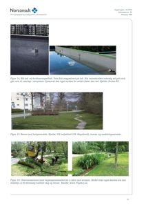 Dokumentet viser en samling av tre fotografier (Figur 14, 15 og 16) som illustrerer ulike løsninger for vannhåndtering, inkludert takmagasinering, renner og vegetasjonssikring.