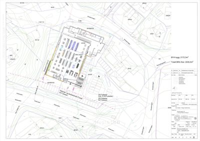 Situasjonsplan som viser bygningens plassering i forhold til nabolag, veier og topografi.