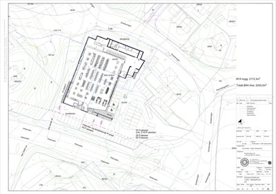 Situasjonsplan som viser bygningens plassering i forhold til terrenget, veier og naboeiendommer.