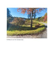 Fotografi av et utsiktspunkt (fradeling mot vest) med fjellområder og trær.