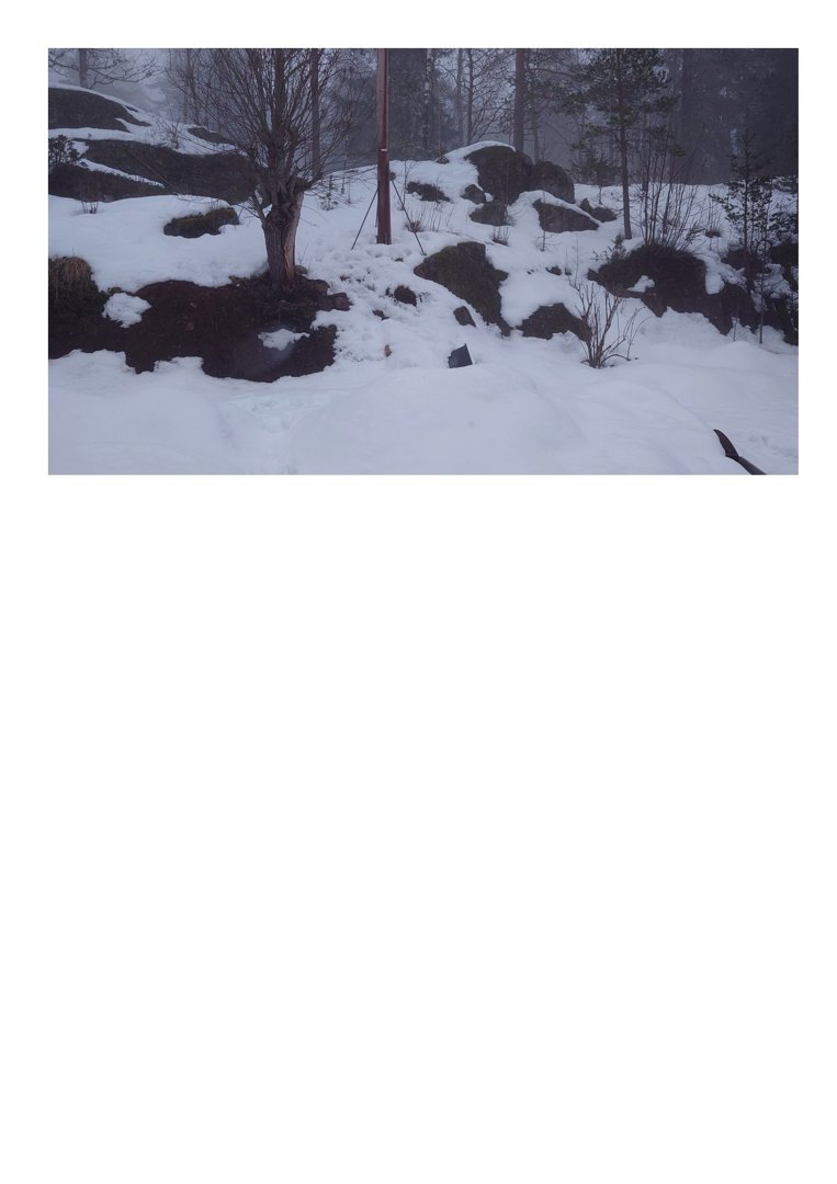 Fotografi av et snødekt terreng med trær og steiner, sannsynligvis en del av en byggesaks dokumentasjon.