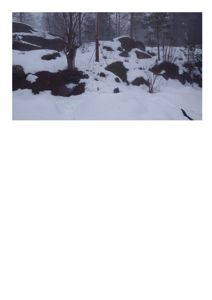 Fotografi av et snødekt terreng med trær og steiner, sannsynligvis en del av en byggesaks dokumentasjon.