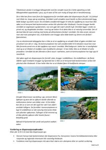 Tre fargemessige bilder (Bilde 1, Bilde 2 og Bilde 3) som viser et kystområde med båtutstyr, klipper og en liten bygning.