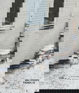 Fotografi av en hvit panelvegg med vindu og snødekte trapper, med teksten 'Fasade mot nord' nederst.