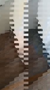 Fotografi av en trapp med mørkebrune tretrinn og en hvit vegg.