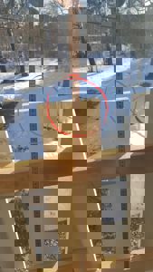 Fotografi av en utvendig trekonstruksjon (troll eller gjerde) med en målebånd som viser høyde på en vertikal stolpe.