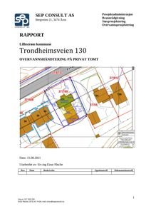 Situasjonsplan som viser tomt, bygninger og overvannshåndtering.