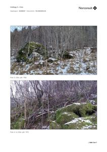 Fotografier av et naturområde med snø, trær og en stor steinblokk.