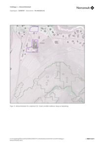 Et aktsomhetskart som viser et geografisk område med overlagte polygoner (grønt og lilla) som indikerer områder med skogsbetydning eller andre planleggingsområder.