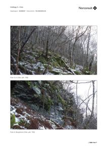 Fotografier av et terreng med skog, mose og en bergskrent.