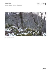 Fotografi av et naturområde med snødekte steiner og trær, sannsynligvis et utvalg fra en geologisk undersøkelse.