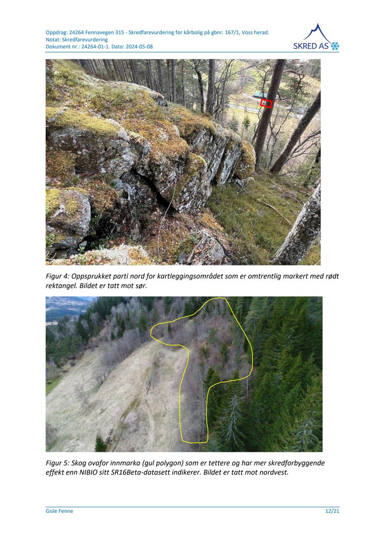 Dokumentet inneholder to fotografier (Figur 4 og Figur 5) som viser terrenget og skogen i forbindelse med en skredfarevurdering.