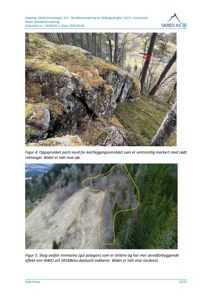 Dokumentet inneholder to fotografier (Figur 4 og Figur 5) som viser terrenget og skogen i forbindelse med en skredfarevurdering.