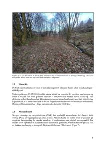 Fotografi av et platå ved bekkenivå med Hordvik bedehus i bakgrunnen.