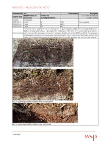 Feltfotografier av jordprøver (M2.1, M2.2, M2.3) med markerte granulat i gressplenen.