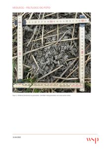 Fotografi fra feltlogg som viser et jordprøvetak med målebånd og markerte punkter for granulater.