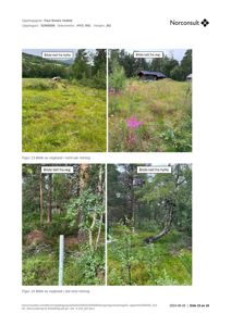 Fotografier av veggras i nord-sør og øst-vest retning ved en hytte.