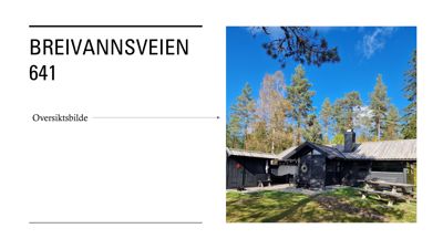 Et fotografi av en mørk, trebygget hytte eller hus i en skogmiljø. Bildet er merket som 'Oversiktsbilde' for adressen Breivannsveien 641.